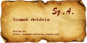 Szamek Antónia névjegykártya